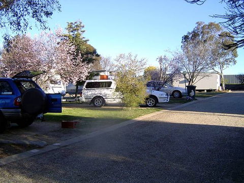 Horseshoe Motor Village Caravan Park - Surfers Gold Coast 1