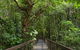 Hotel Grand Chancellor Palm Cove - thumb 1
