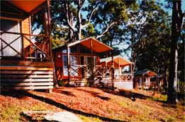 Lane Cove River Tourist Park - Surfers Gold Coast 6