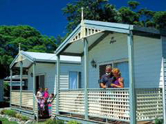 Paradise Palms Carey Bay - Surfers Gold Coast 1