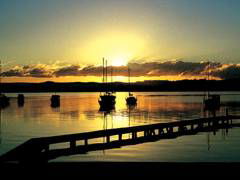 Paradise Palms Carey Bay - Surfers Gold Coast 4