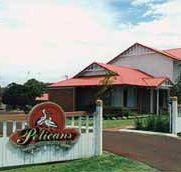 Pelicans Albany Middleton Beach - Surfers Gold Coast