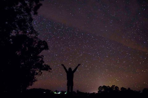 Childers Eco-lodge - Surfers Gold Coast 5