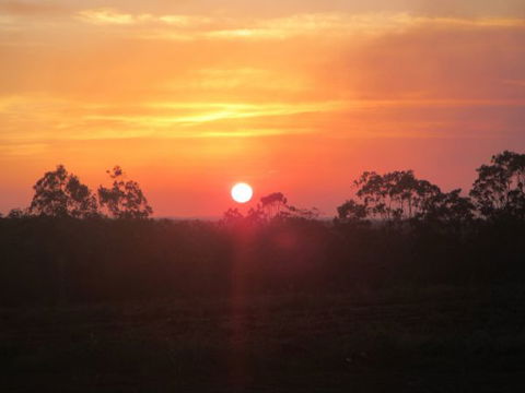 Childers Eco-lodge - Surfers Gold Coast 6