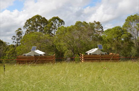 Childers Eco-lodge - Surfers Gold Coast 7