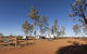 Curtin Springs Wayside Inn - thumb 13