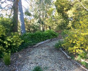 Smiths Folly - Surfers Gold Coast 3