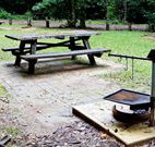 Bellbird campground - Surfers Gold Coast