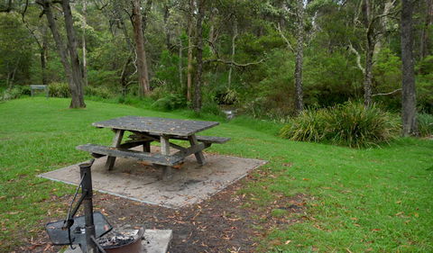 Chaelundi Campground - Surfers Gold Coast 0