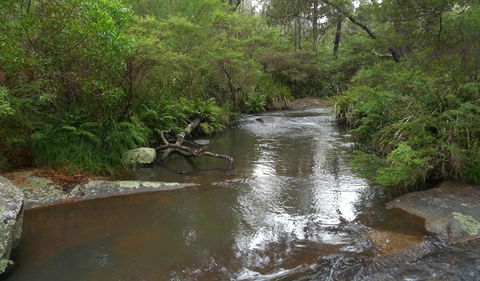 Chaelundi Campground - Surfers Gold Coast 1