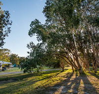 Delicate campground - Surfers Gold Coast