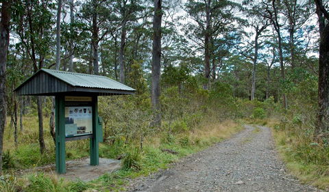 Devils Hole Campground And Picnic Area - Surfers Gold Coast 1