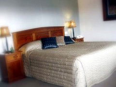 Saltbush Motor Inn - Surfers Gold Coast 4