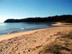 Seahorse Inn Hotel - Surfers Gold Coast 4