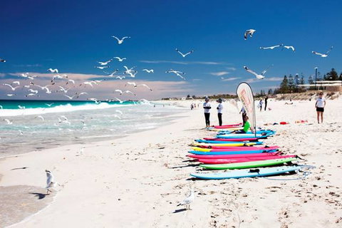 Seashells Scarborough - Surfers Gold Coast 6