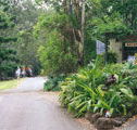 Tamborine Mountain Caravan  Camping - Surfers Gold Coast