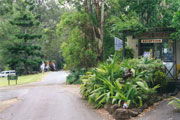 Tamborine Mountain Caravan & Camping - Surfers Gold Coast 0