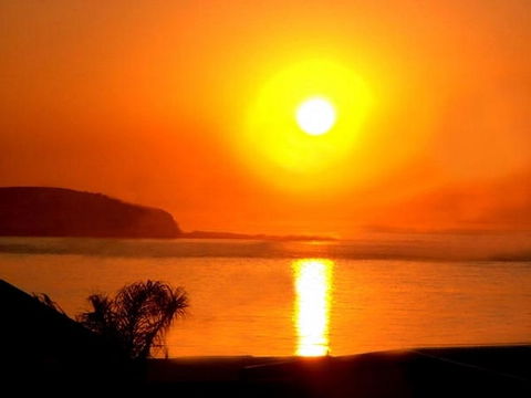 The Black Dolphin - Surfers Gold Coast 2