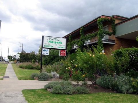 The Vines Motel & Cottages - Surfers Gold Coast 0