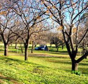 Wellington Caves Caravan Park - Surfers Gold Coast
