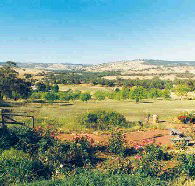 Pecan Hill Bed and Breakfast - Surfers Gold Coast