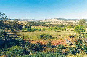 Pecan Hill Bed And Breakfast - Surfers Gold Coast 0