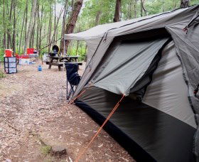 WA Wilderness Catered Camping At Big Brook Arboretum - Surfers Gold Coast 0