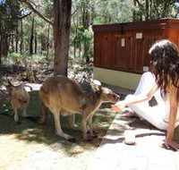 Yelverton Brook Eco Spa Retreat and Conservation Sanctuary - Surfers Gold Coast