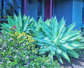 Possum Creek Eco Lodge - Surfers Gold Coast 1