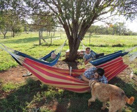 Childers Eco-lodge - Surfers Gold Coast 1
