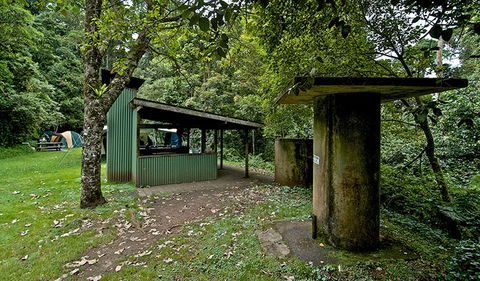 Forest Tops Campground - Surfers Gold Coast 1