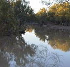 Four Mile Camping Reserve - Surfers Gold Coast