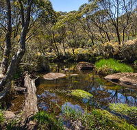 Junction Pools campground - Surfers Gold Coast
