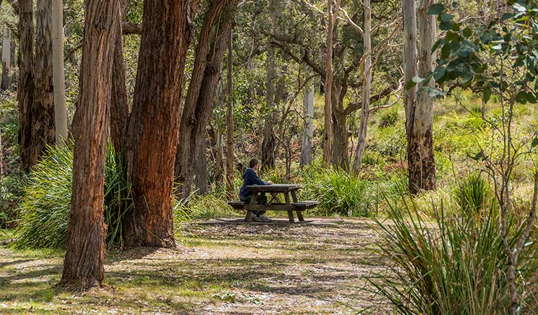 Boomi Creek NSW Surfers Gold Coast