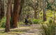 Koreelah Creek Campground - thumb 0