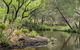 Koreelah Creek Campground - thumb 1
