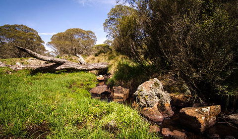 Little Murray Campground - Surfers Gold Coast 1