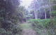 Macas Camping Ground - thumb 0