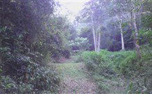 Macas Camping Ground - Surfers Gold Coast 0