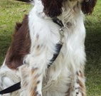 Merimbula Lake Holiday Park - Surfers Gold Coast