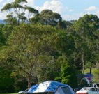Milton Valley Holiday Park - Surfers Gold Coast