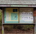 Mulligans campground - Surfers Gold Coast
