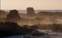 Mystery Bay Camping Area - Surfers Gold Coast 3