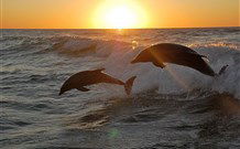 Sapphire Sun Eco Holiday Village - Eden - Surfers Gold Coast 3