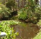 Tallowood Ridge B and B - Surfers Gold Coast