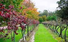 Peppers Convent Hunter Valley - Surfers Gold Coast 4
