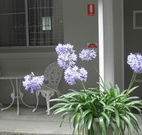 Pine Lodge Motel - Woolgoolga - Surfers Gold Coast