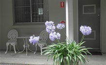 Pine Lodge Motel - Woolgoolga - Surfers Gold Coast 0