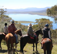Reynella Homestead and Horseback Rides - Surfers Gold Coast