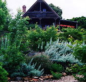 Country Charm Swiss Cottages - Surfers Gold Coast